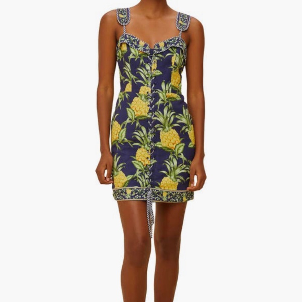 FARM Rio Delicate Pineapple Linen Dress NWT Size XS